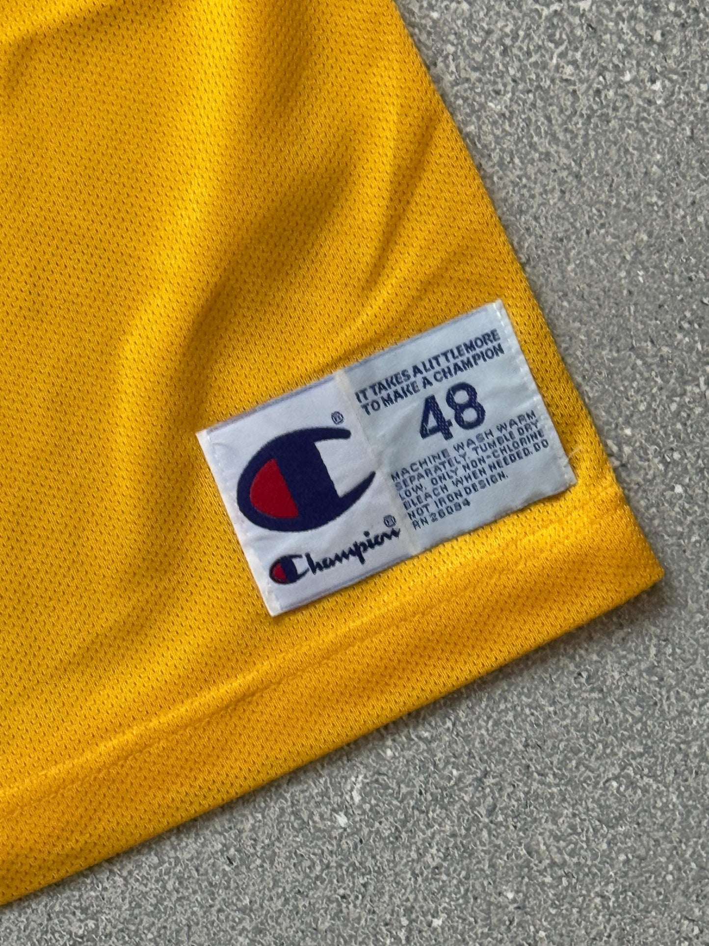 Lakers 32 jersey (48)