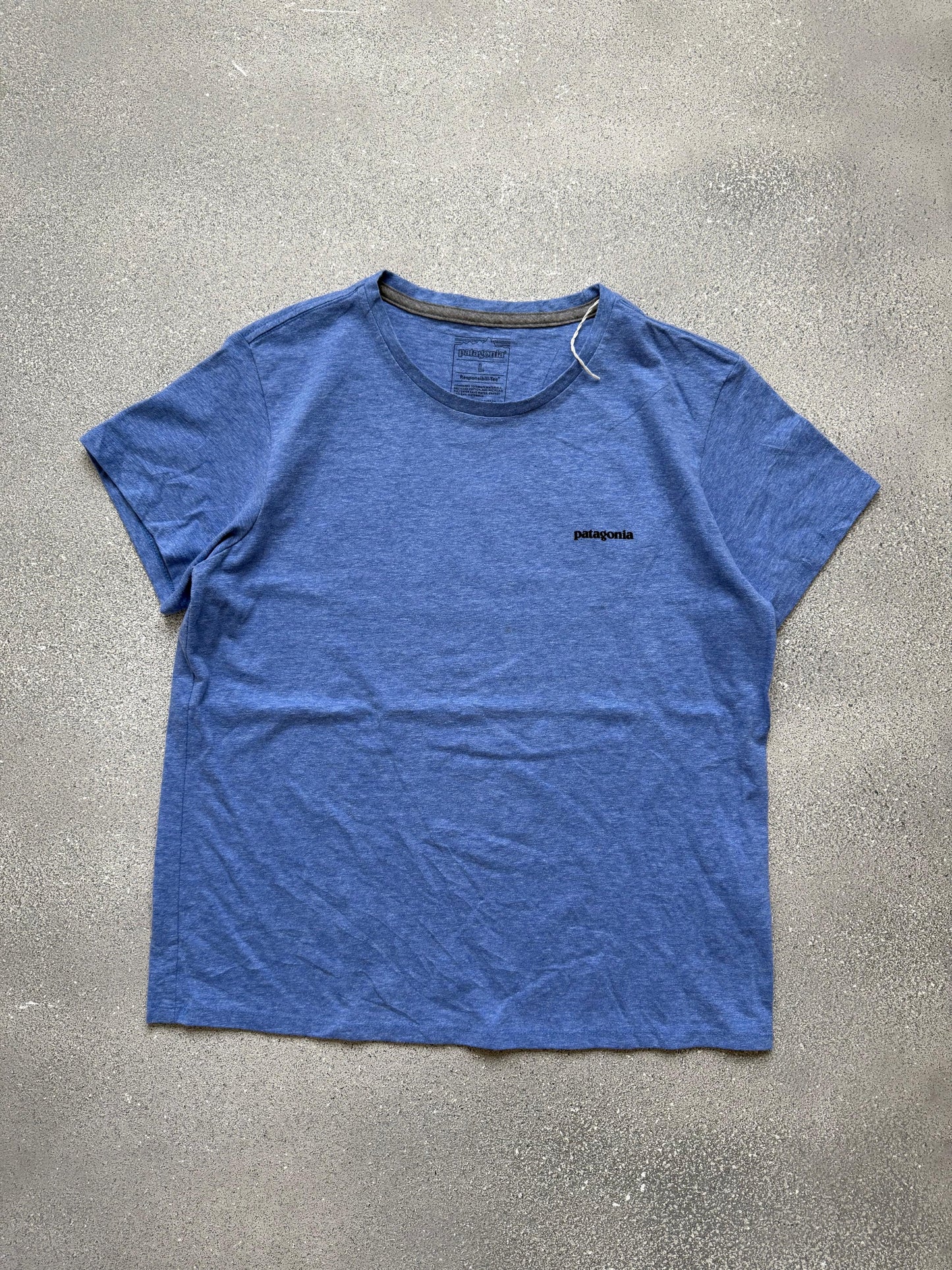 Patagonia tee (L)
