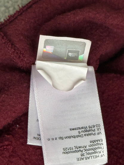 The north face hoodie (XL)