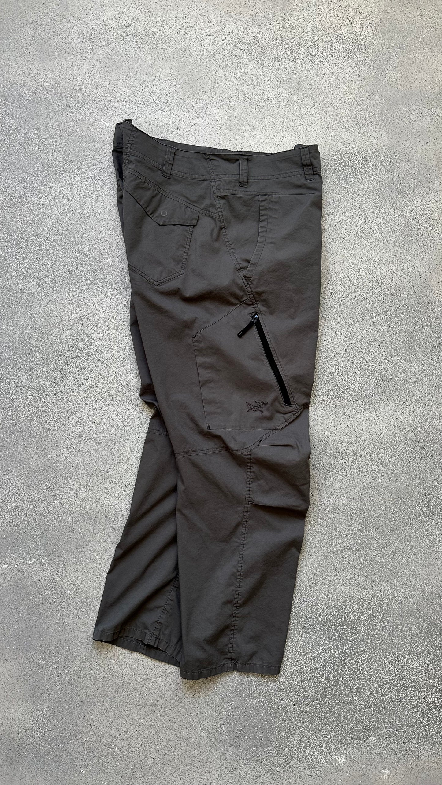 Arcteryx track pants (34)