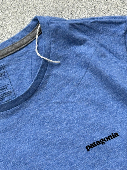 Patagonia tee (L)