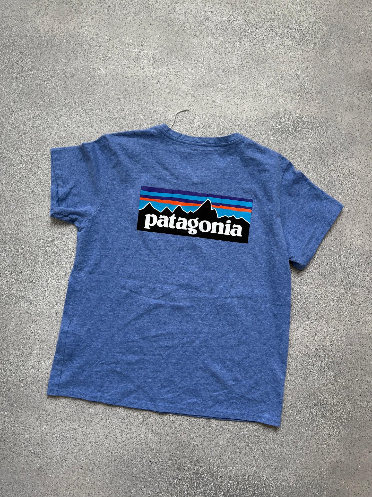 Patagonia tee (L)